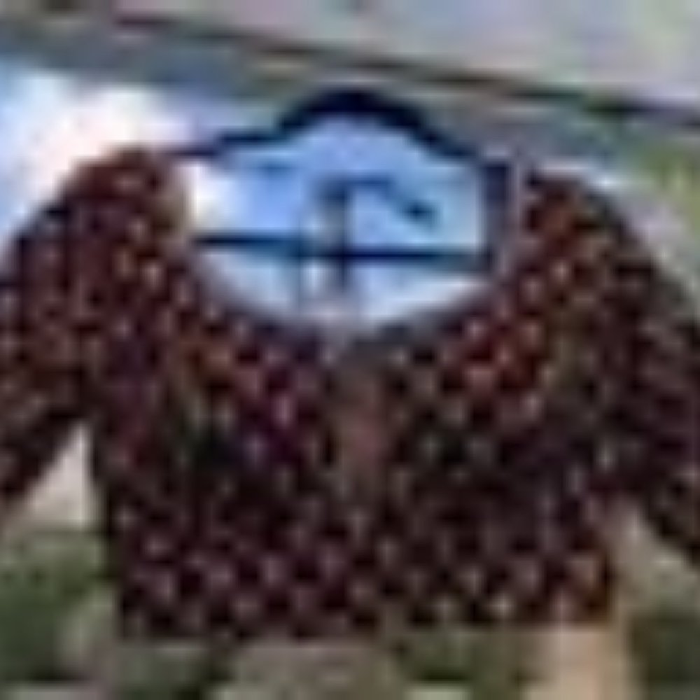 Indian Bridal Lehenga Deep Red velvet/silk - Picture 10 of 12